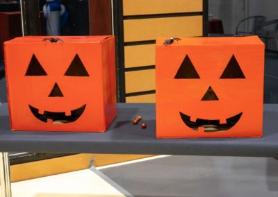 31102021-P1050835_compressed