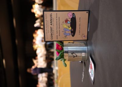 IMG_3153A_compressed