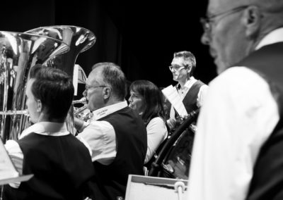 R6II6687---_compressed